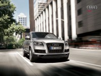 /album/fotogaleria-audi-q7/a544-jpg/